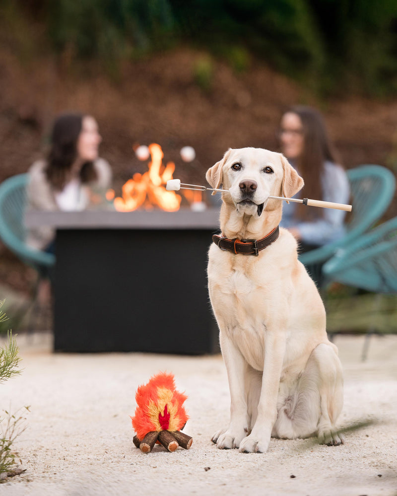 Camp Corbin Squeaky Plush Dog toys, Cozy Campfire