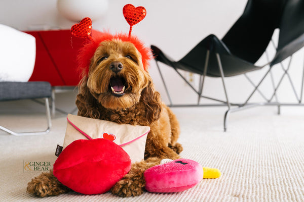 P.L.A.Y. Love Bug Squeaky Plush Dog toys, Bundle