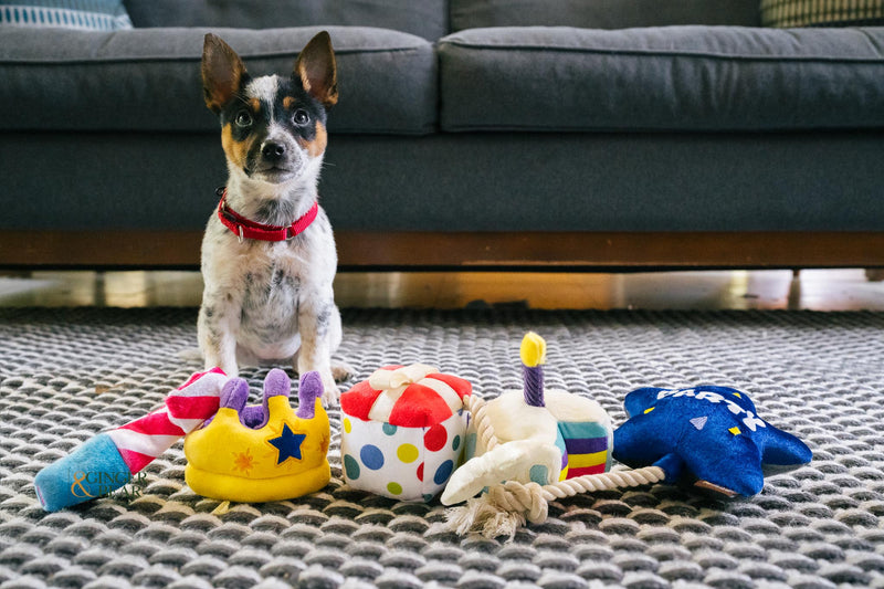 P.L.A.Y. MINI Party Time Plush Dog toys, Raise the Woof Party Horn (mini sized)
