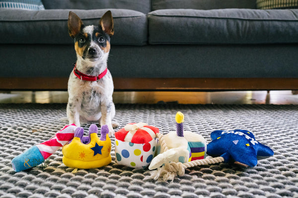 P.L.A.Y. MINI Party Time Plush Dog toys, Bundle (mini sized)