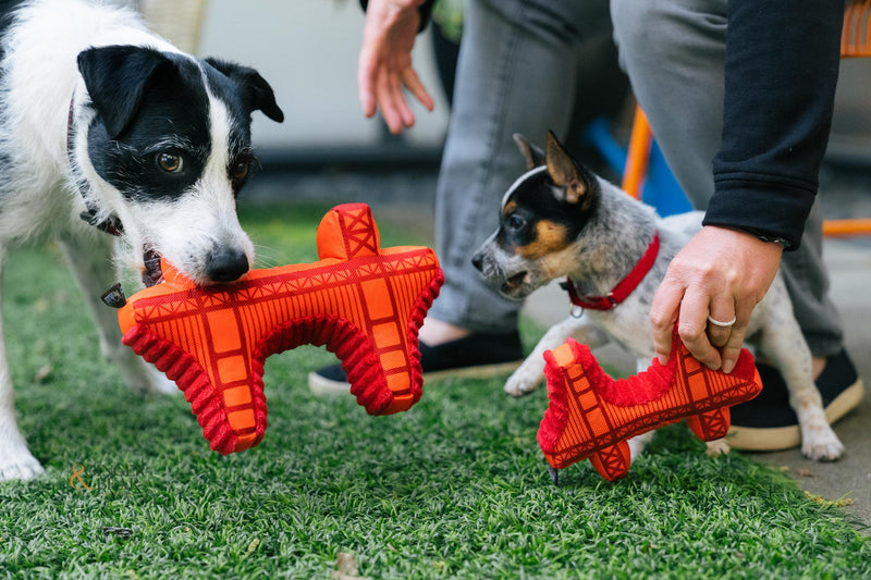 P.L.A.Y. Totally Touristy Squeaky Plush Dog toys, Golden Gate Bridge