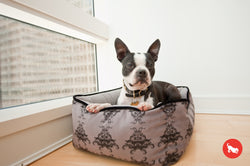 P.L.A.Y. Dog and Cat Lounge Bed Royal Crest