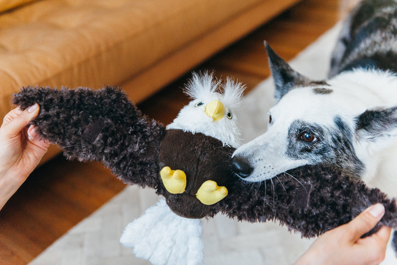 Fetching Flock Squeaky Plush Dog toys