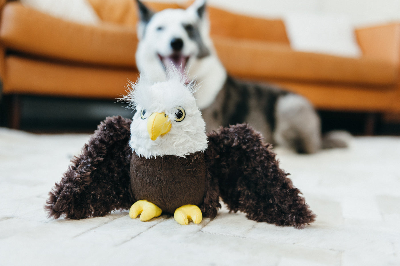 Fetching Flock Squeaky Plush Dog toys