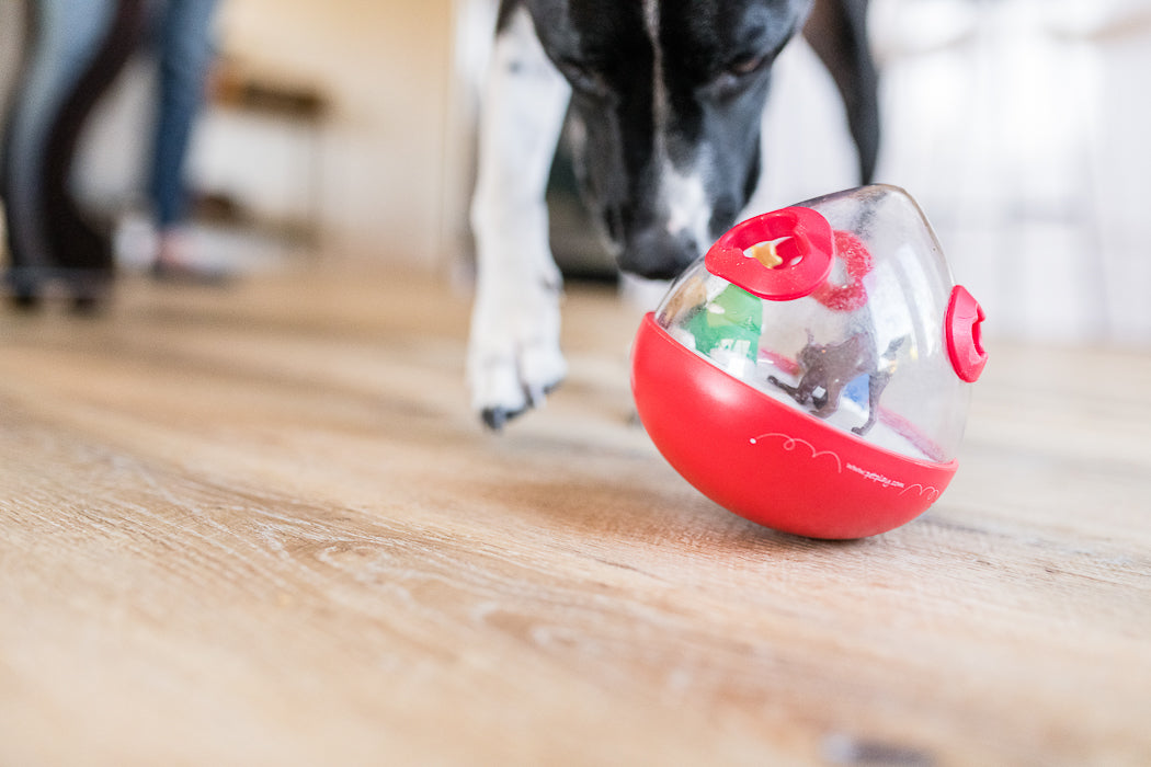 Wobble dog toy sale