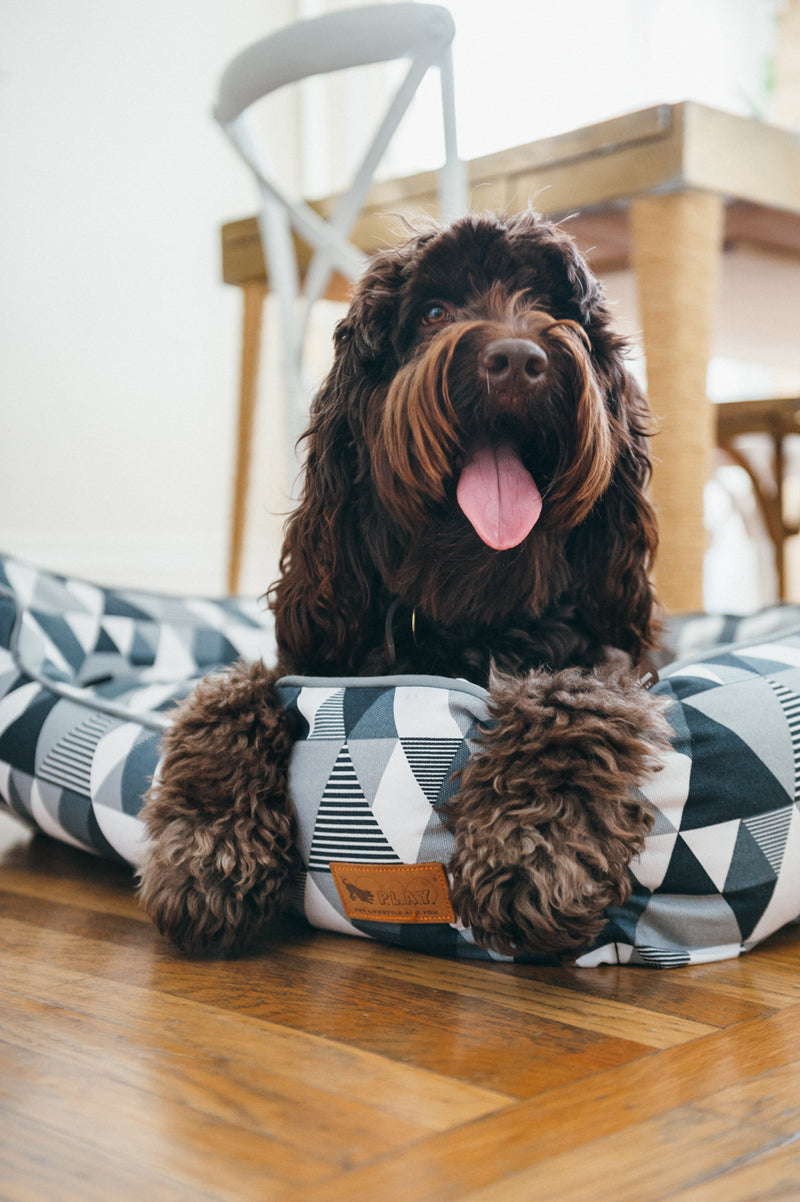 P.L.A.Y. Lounge Dog Bed Mosaic Tuxedo