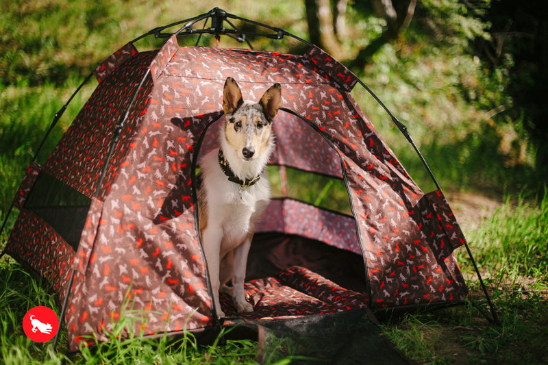 Outdoor Dog Tent in Mocha Ginger and Bear