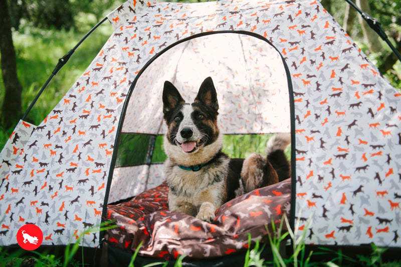 Outdoor Dog Tent in Vanilla