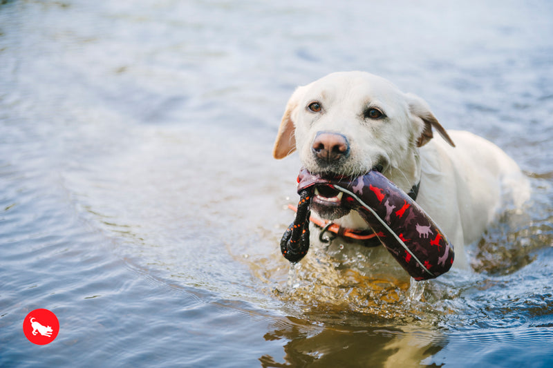 Toss and Float toy