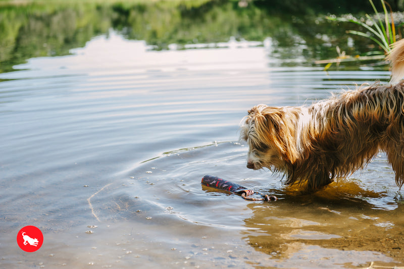 Toss and Float toy