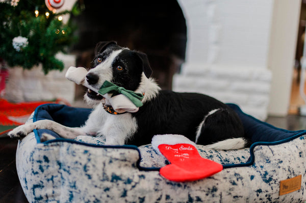 P.L.A.Y. Merry Woofmas Dog Plush toys: Good Dog Stocking