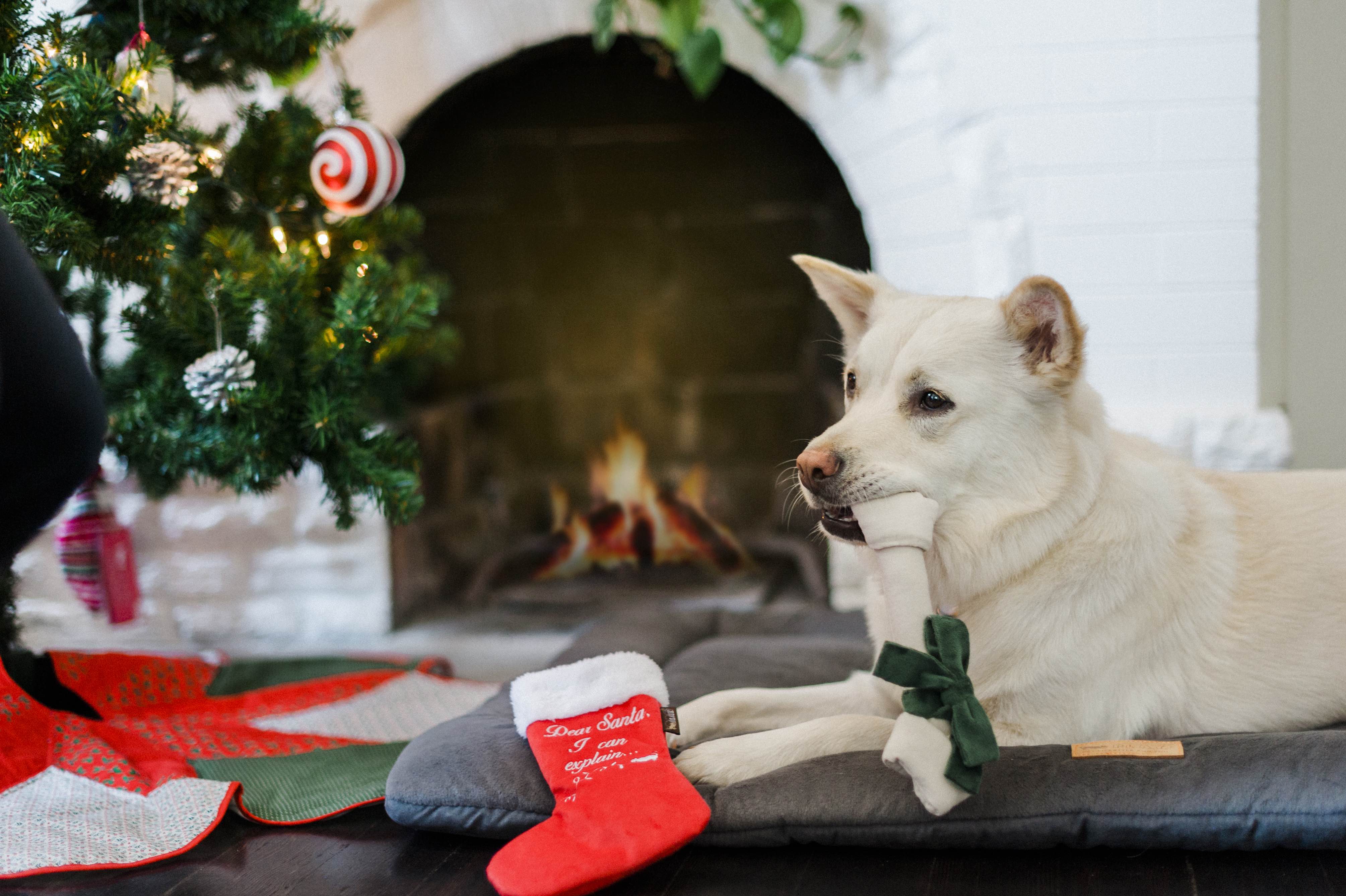 P.L.A.Y. Merry Woofmas Dog Plush toys: Good Dog Stocking