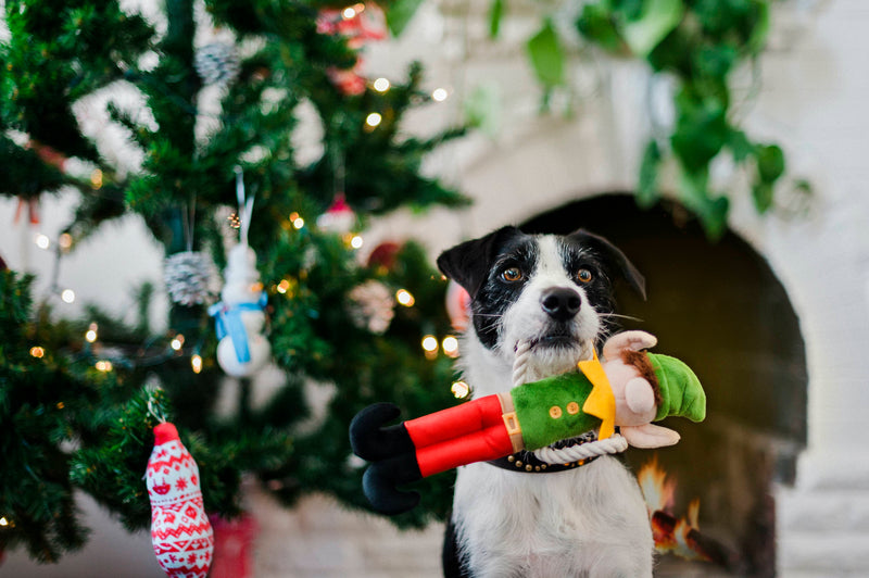 P.L.A.Y. Merry Woofmas Dog Plush toys: Santa's Little Elf-er