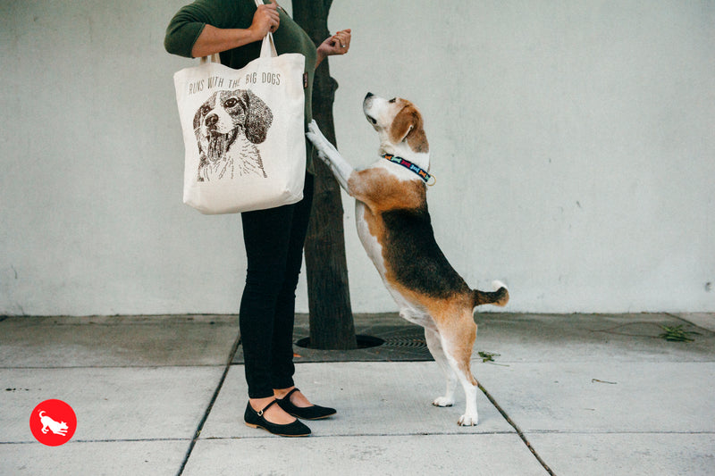 PLAY Best in Show Tote - Beagle - RUNS WITH THE BIG DOGS