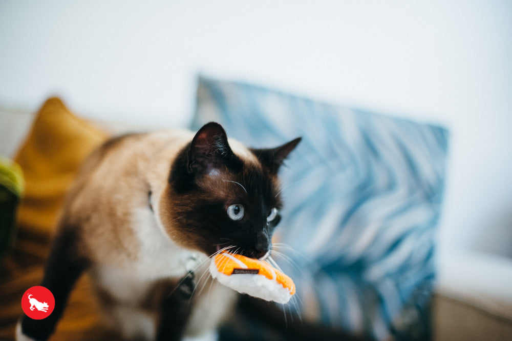 PLAY Feline Frenzy Catnip Toy Sassy Sushi