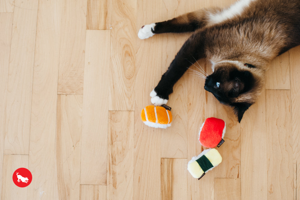 PLAY Feline Frenzy Catnip Toy Sassy Sushi