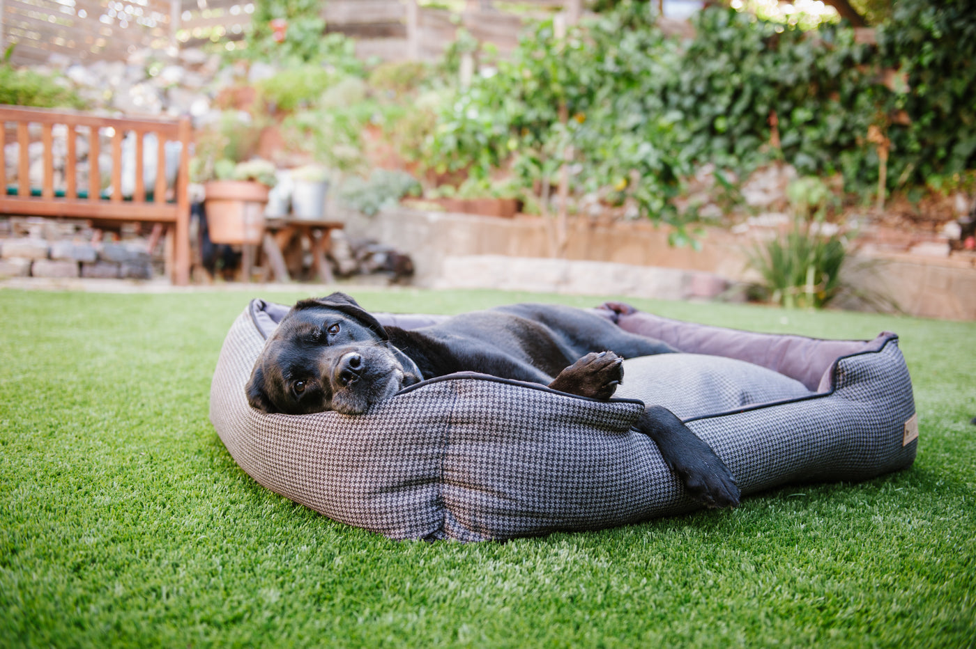 [Pre-order]Lounge Dog Bed: Houndstooth Shadow Grey