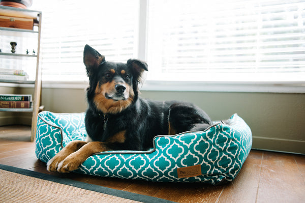 [Pre-order]Lounge Bed: Moroccan Teal