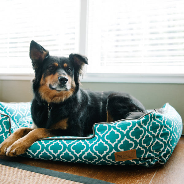 Pet play dog beds online