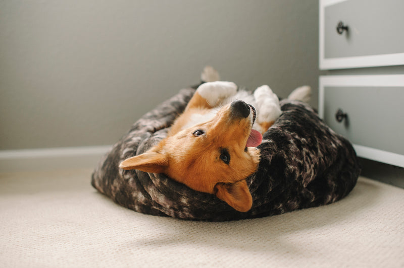 PLAY Snuggle Bed Truffle Brown for Dogs and Cats