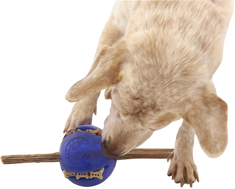 Interactive, Treat-dispensing Dog Toy, Orbee-Tuff Ball, Guru Royal Blue