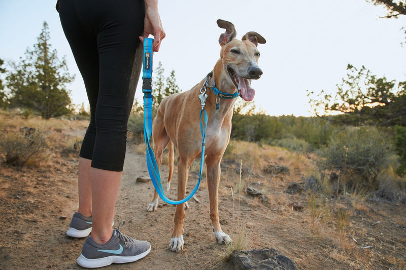 Ruffwear: Crag Reflective dog leash