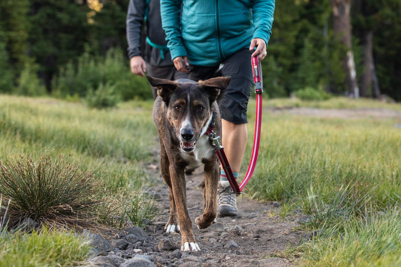 Ruffwear: Crag Reflective dog leash