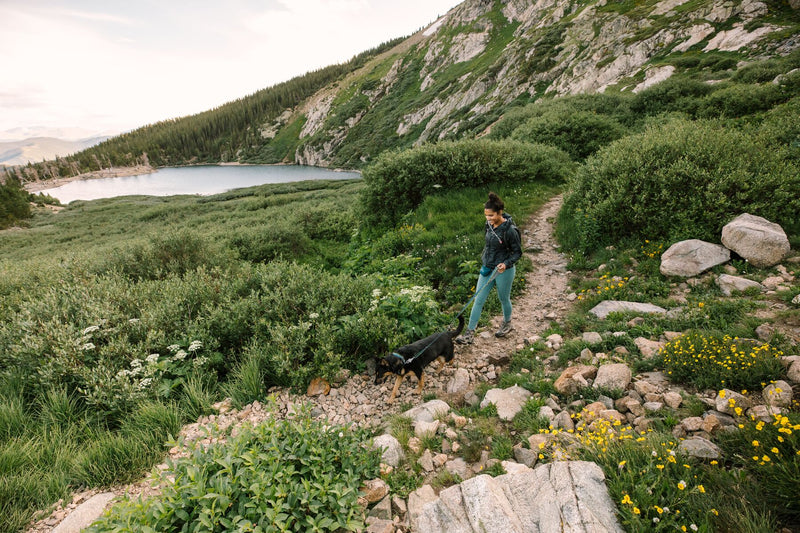 Ruffwear: Crag Reflective dog leash