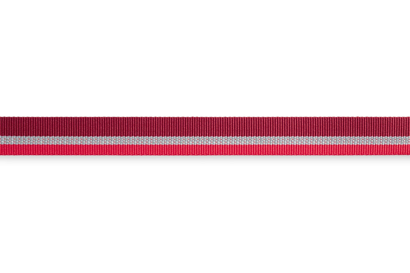 Ruffwear: Crag Reflective Dog Collar