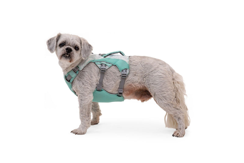 Ruffwear Dog Cooling Harness: Swamp Cooler