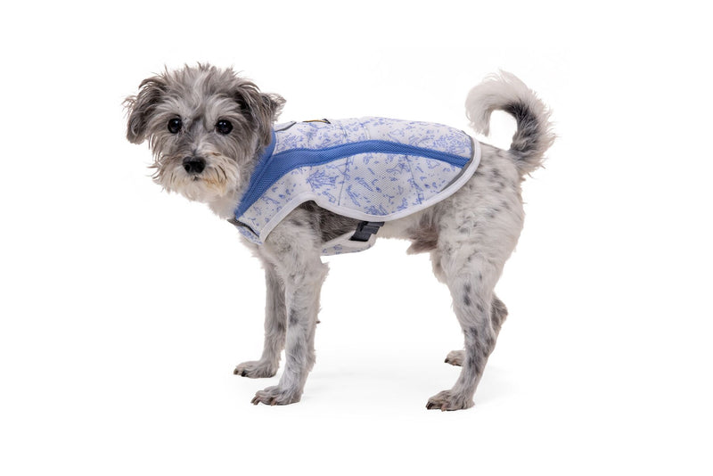 Ruffwear Cooling Dog Vest: Swamp Cooler