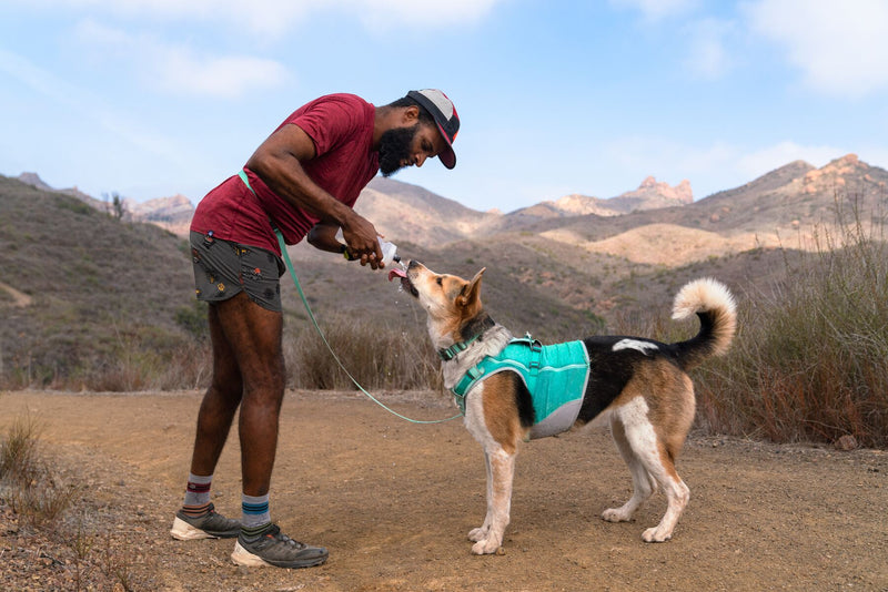 Ruffwear Dog Cooling Swamp Cooler Zip Protection from heat