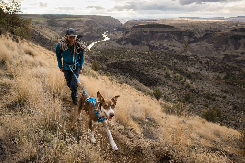 Ruffwear Dog Harness With Handle: Flagline