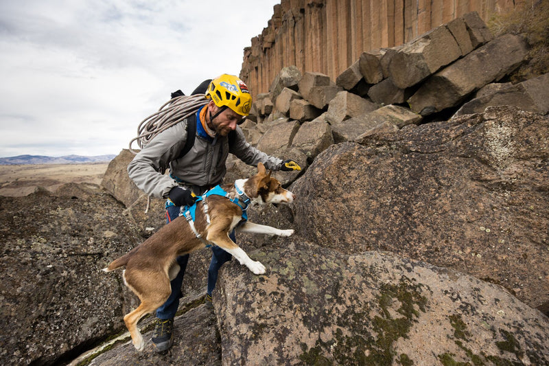Ruffwear Dog Harness With Handle: Flagline