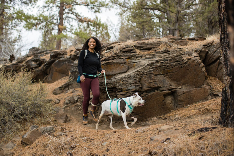 Ruffwear Dog Harness With Handle: Flagline