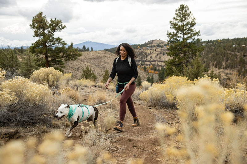 Ruffwear Dog Harness With Handle: Flagline