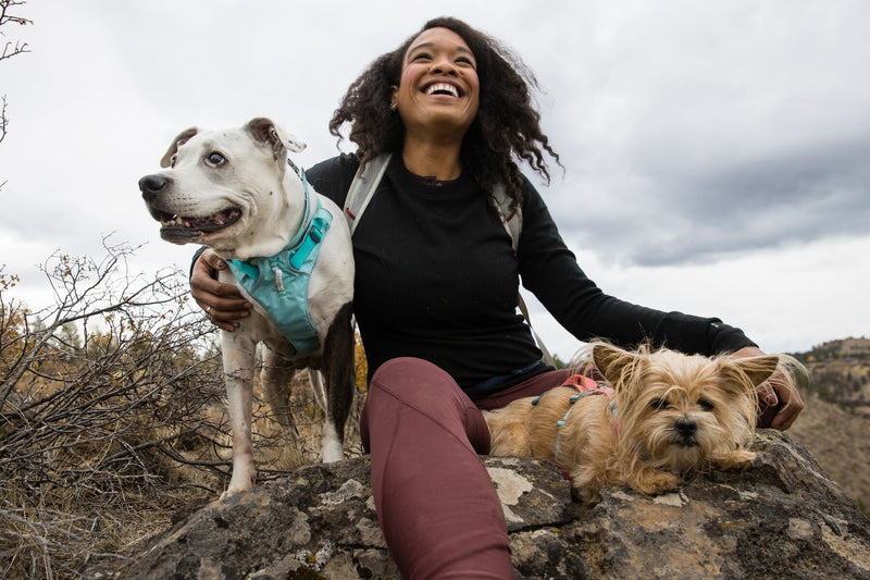 Ruffwear Dog Harness With Handle: Flagline