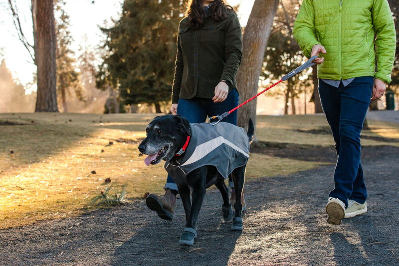 Ruffwear Dog Hi Vis Jacket Lumenglow Ginger and Bear