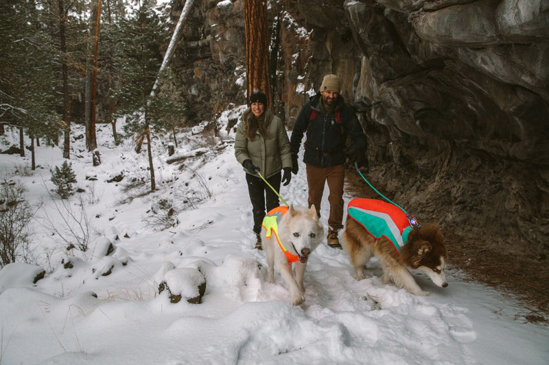 Ruffwear Dog Hi Vis Jacket Lumenglow Ginger and Bear