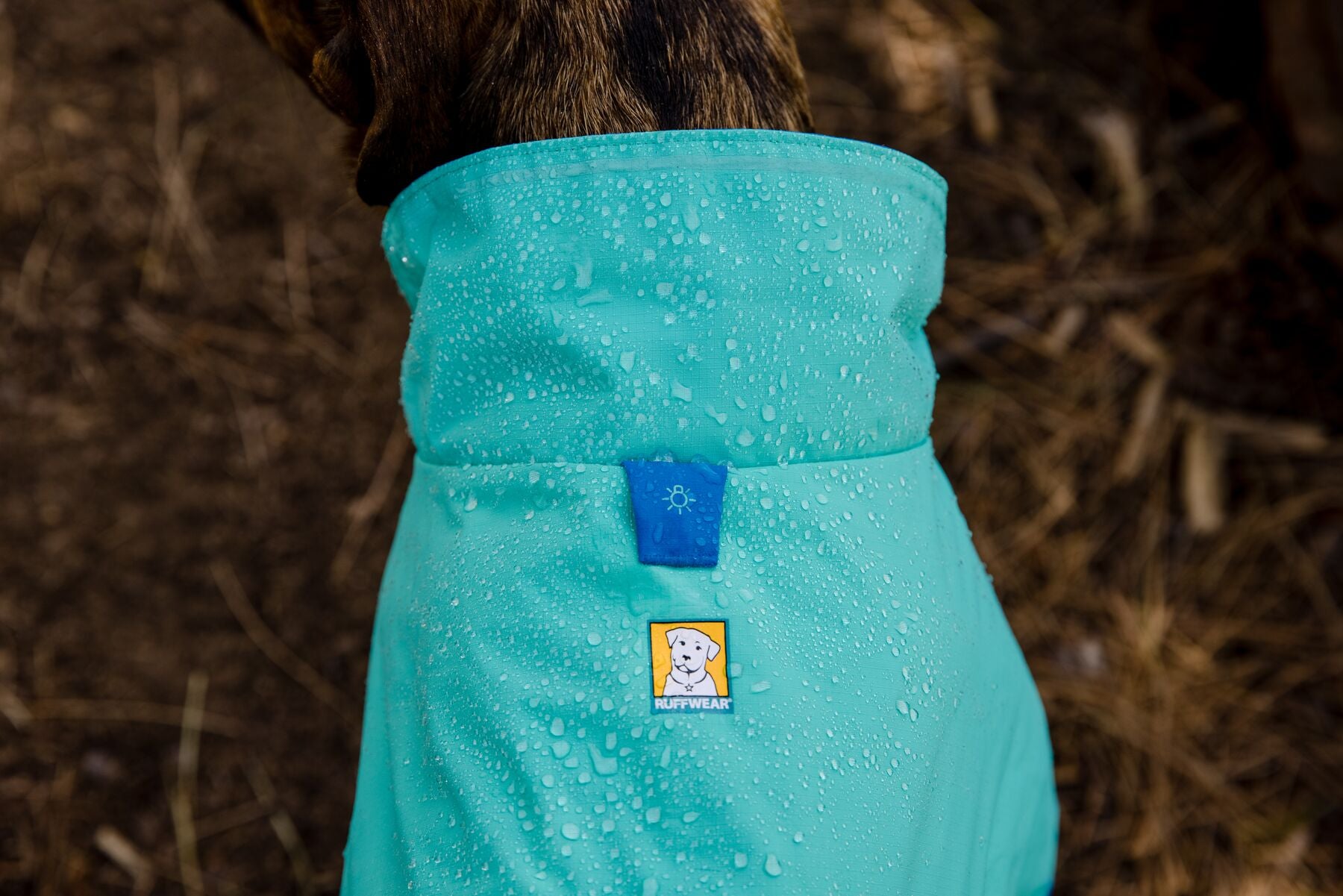 Ruffwear Dog Raincoat: Sun Shower