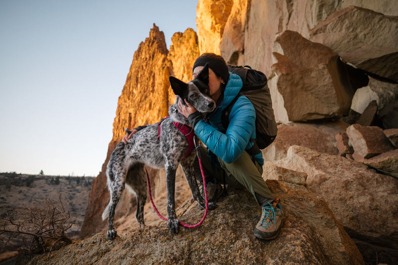 Ruffwear Dog Rope Leash: Knot-a-Leash