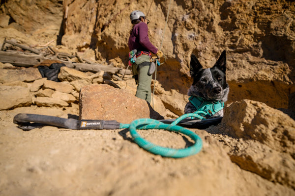 Ruffwear Dog Rope Leash: Knot-a-Leash