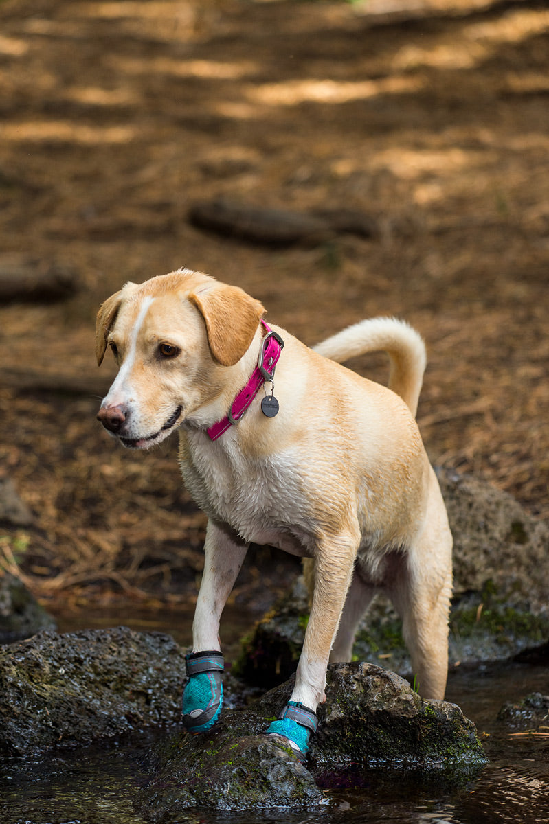 Ruffwear Grip Trex Dog Boots All Terrain Paw Wear for Outdoors PAIRS