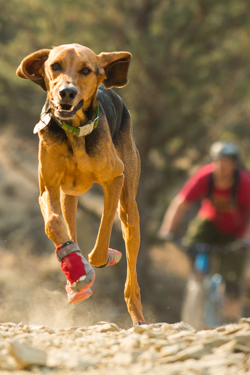 Vibram dog booties new arrivals