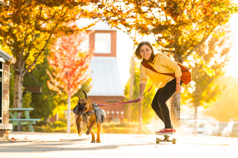Ruffwear Commuter Pack in Cloudburst Grey