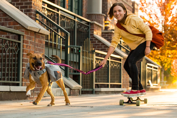 Ruffwear Commuter Pack in Cloudburst Grey
