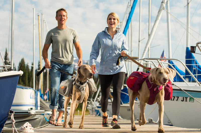 Ruffwear Commuter Pack in Lackspur Purple