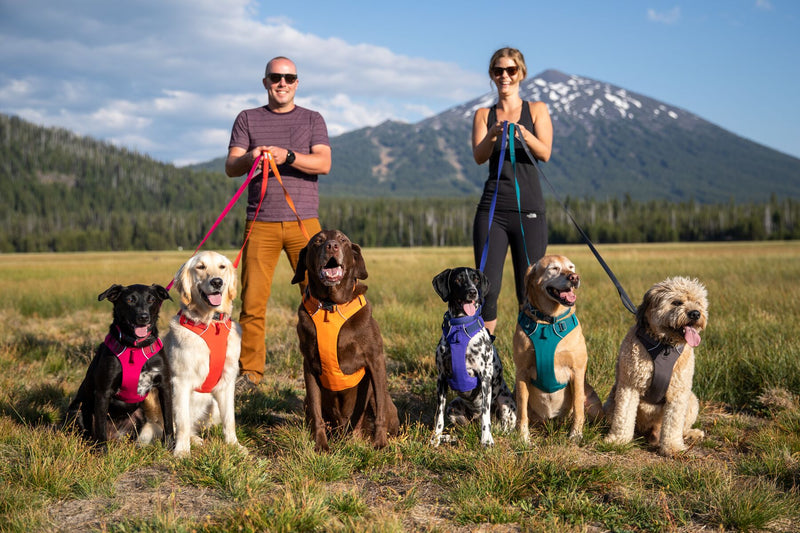 Ruffwear: Front Range Dog Collar