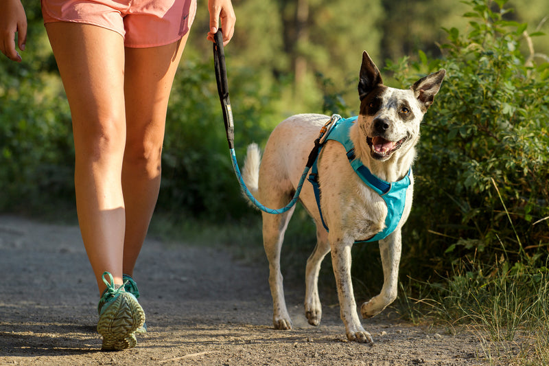 Ruffwear HiLight Harness Blue Atoll