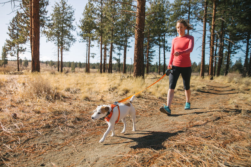 Ruffwear HiLight Harness Sockeye Red